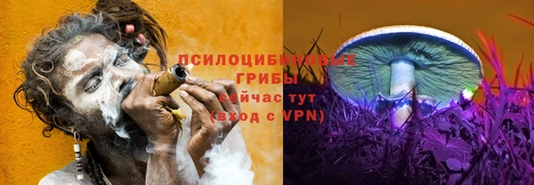 кокс Армянск
