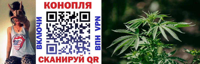 Конопля Ganja  блэк спрут вход  Гдов 